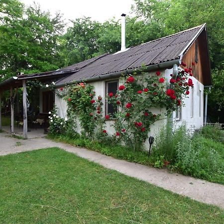 Igricz Farmhaz Villa Pócsmegyer Exterior foto