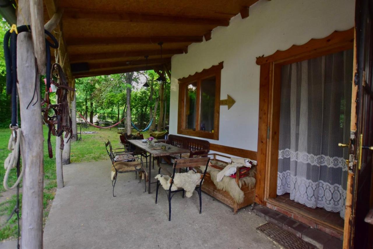 Igricz Farmhaz Villa Pócsmegyer Exterior foto