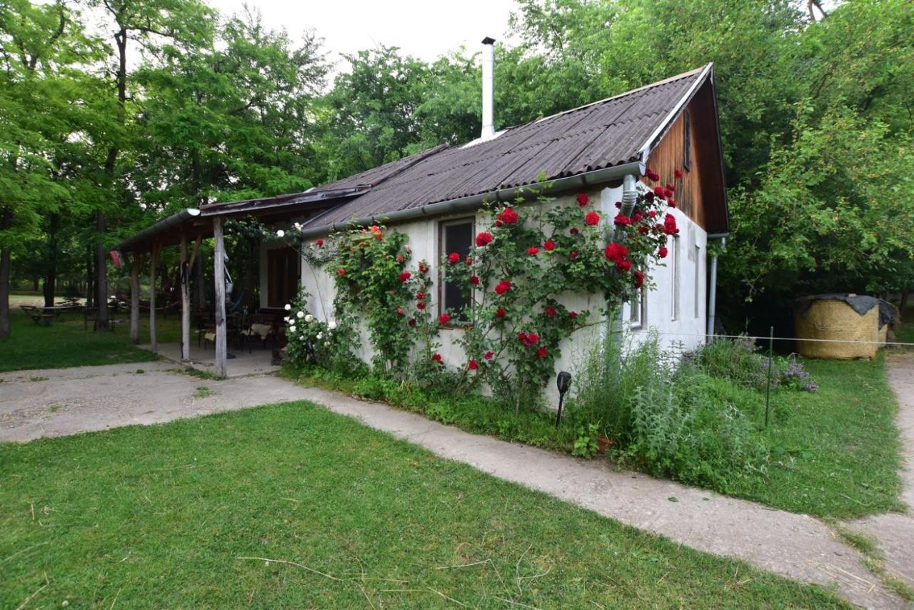 Igricz Farmhaz Villa Pócsmegyer Exterior foto